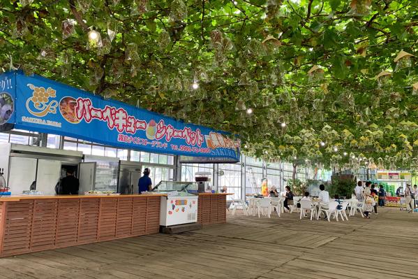 霧島さくらフルーツランド　霧島さくら館-2