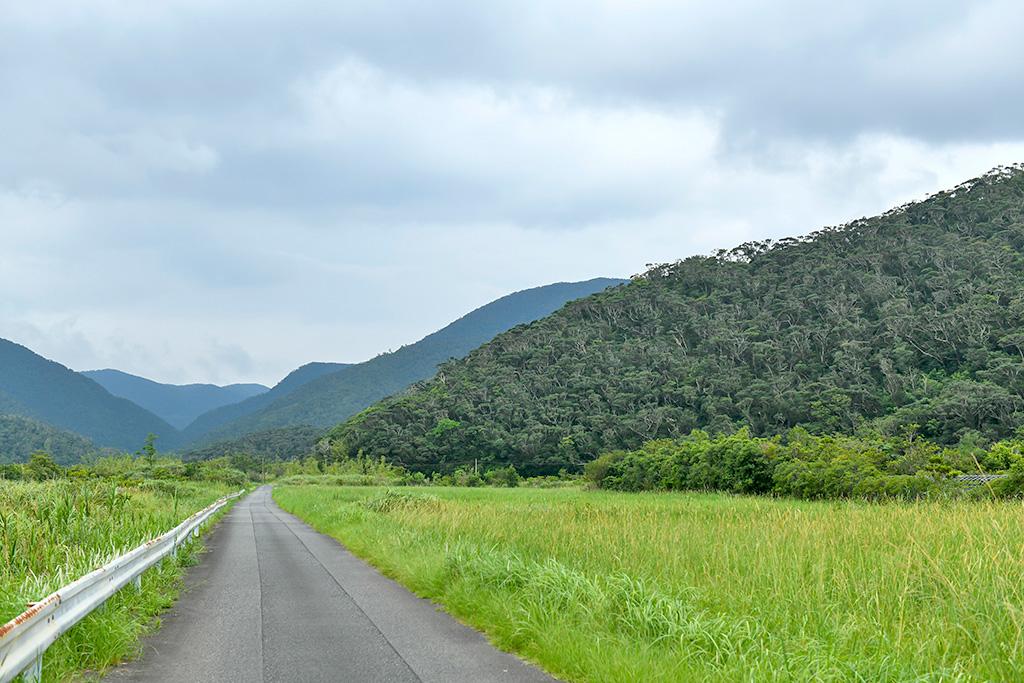 【公式】鹿児島県観光/旅行サイト　かごしまへの旅