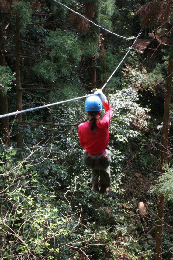 Canopy Walk-1