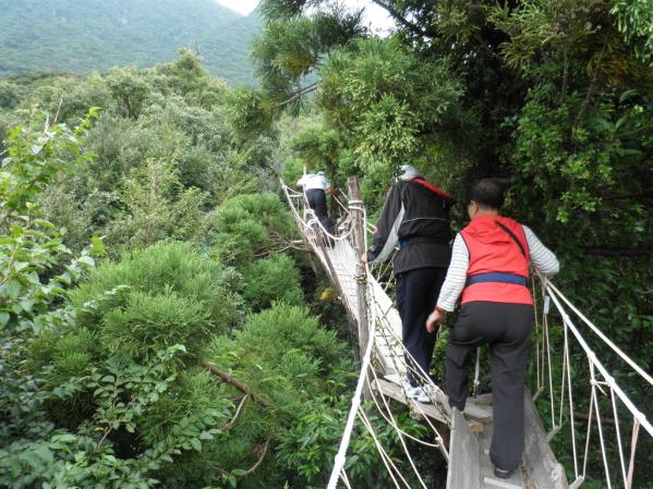 Canopy Walk-0