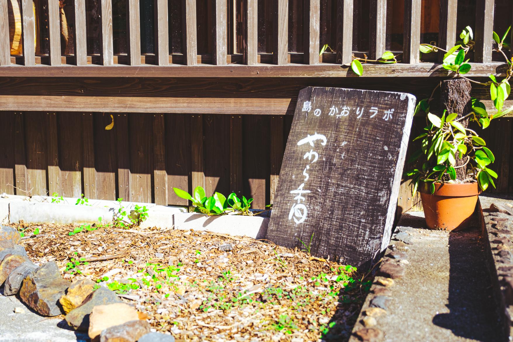 Cửa hàng Yawaraca ở Yakushima-0