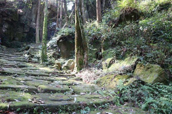 【2024】日本遺産「薩摩の武士が生きた町」シンポジウム-9