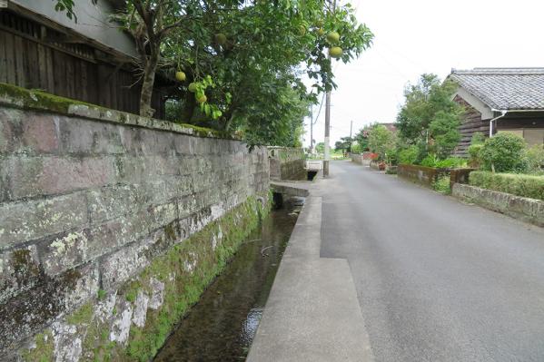 【2024】日本遺産「薩摩の武士が生きた町」シンポジウム-0