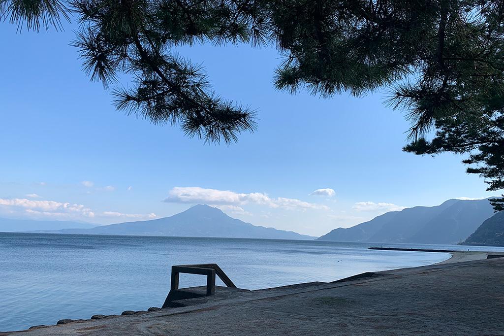 重富海岸自然ふれあい館  なぎさミュージアム-5