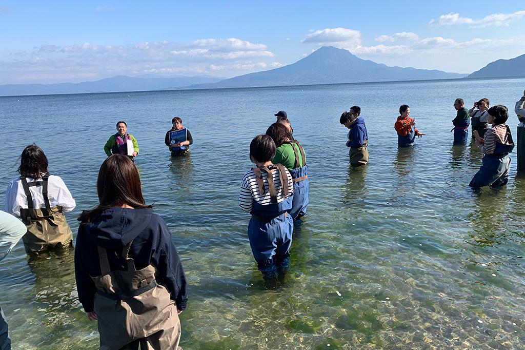 重富海岸自然ふれあい館  なぎさミュージアム-3