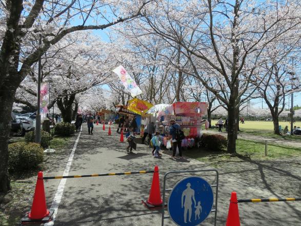 【2024】忠元公園桜まつりウィーク-3