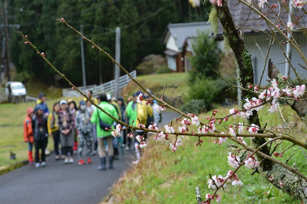 【2024】第23回 山ヶ野ウォーキング大会-2