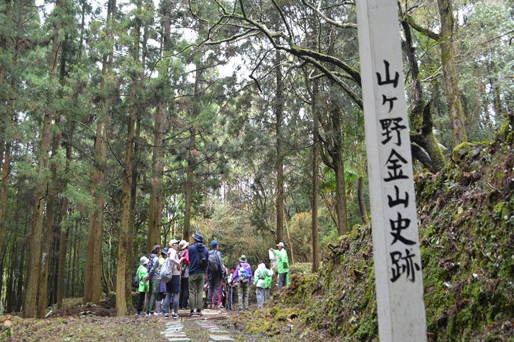 【2025】第25回 山ヶ野ウォーキング大会-1