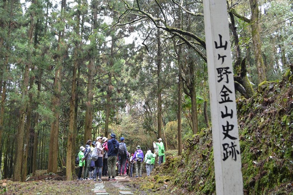 【2024】第23回 山ヶ野ウォーキング大会-1