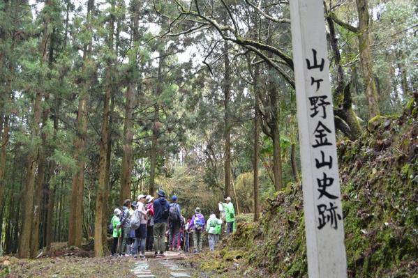 【2025】第25回 山ヶ野ウォーキング大会-0