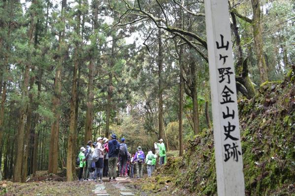 【2024】第23回 山ヶ野ウォーキング大会-0