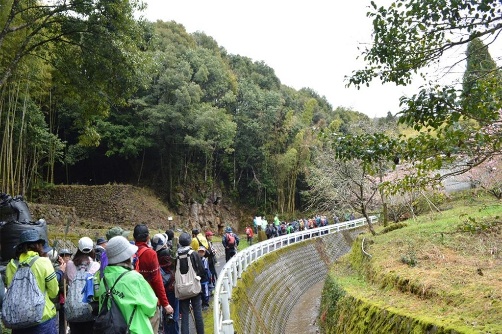 【2025】第25回 山ヶ野ウォーキング大会-1