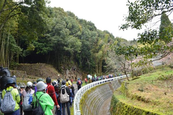 【2024】第23回 山ヶ野ウォーキング大会-1