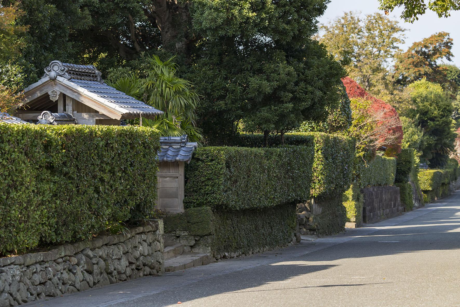 早春の出水を歩こう！出水麓武家屋敷ウォークラリー-2