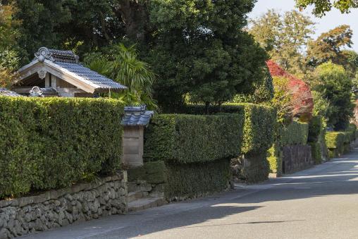 早春の出水を歩こう！出水麓武家屋敷ウォークラリー-2