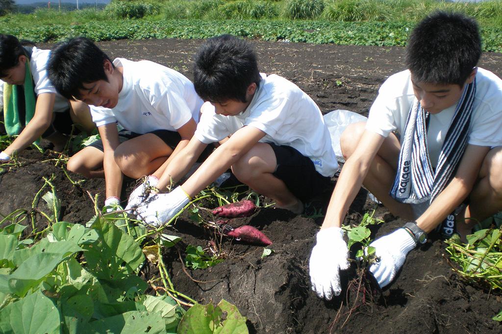 野菜収穫体験-1