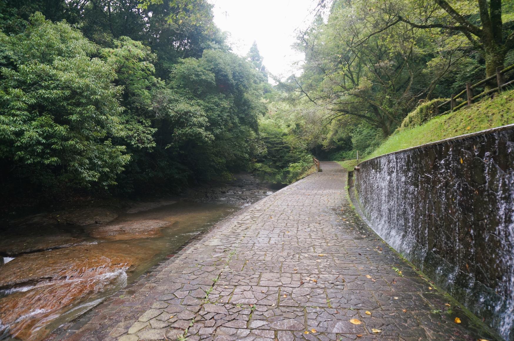 台明寺渓谷公園-5
