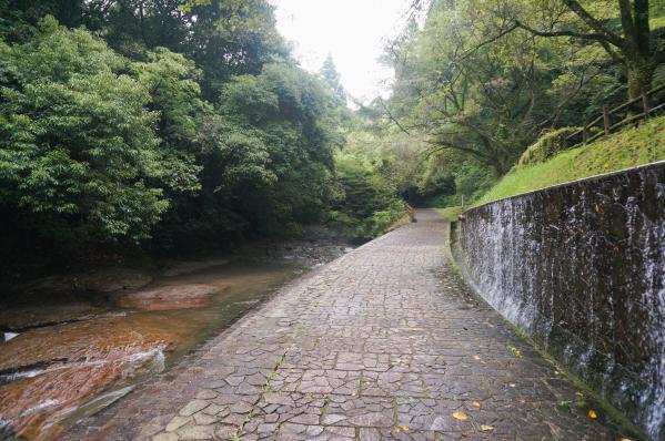 台明寺渓谷公園-5