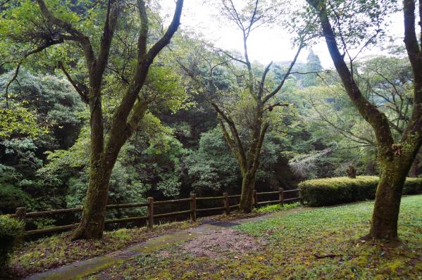 台明寺渓谷公園-6