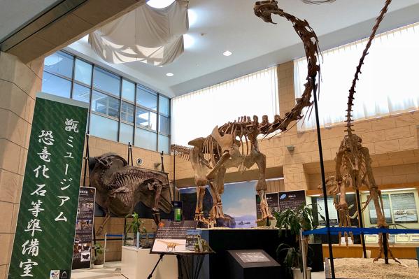 甑ミュージアム恐竜化石等準備室-3