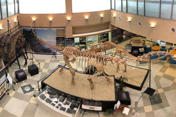 甑ミュージアム恐竜化石等準備室-1