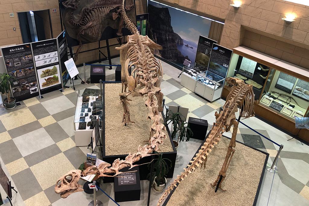  甑ミュージアム恐竜化石等準備室 