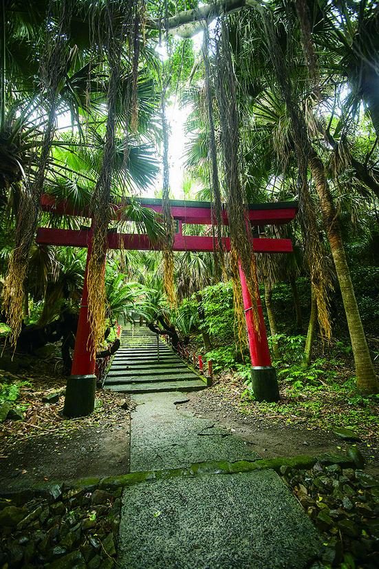 Mainland’s Southernmost Point (Cape Sata & Ogawa Falls) Sightseeing Bus-9