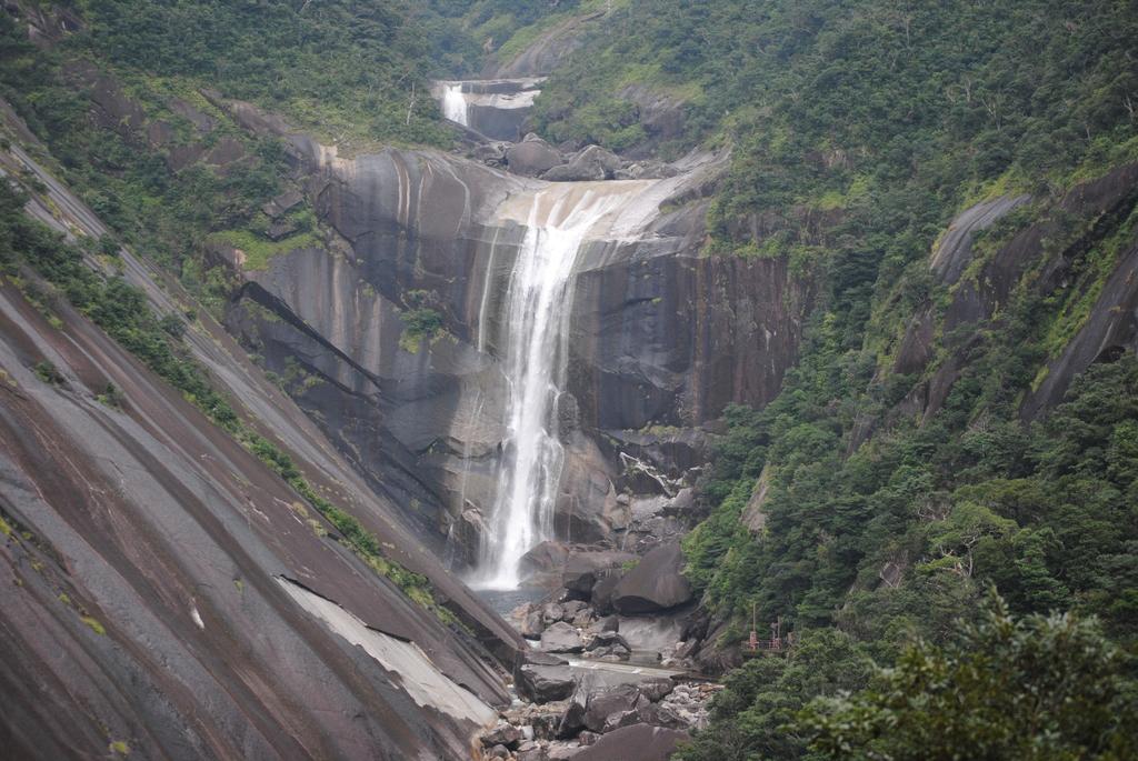 Yakushima Sightseeing Bus (Yuran)-3