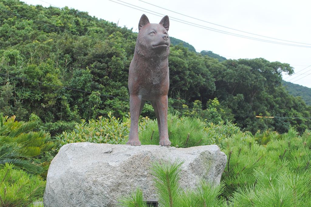 孤島の野犬像-1