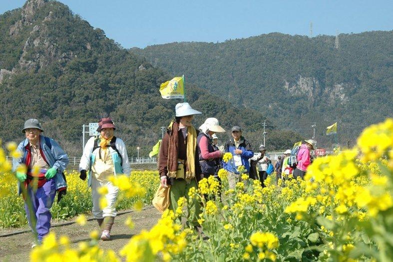 【2025】第33回 いぶすき菜の花マーチ-1