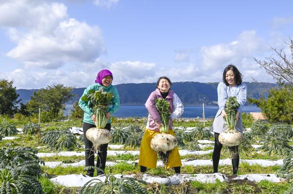 桜島大根の収穫体験　ファームランド櫻島-0
