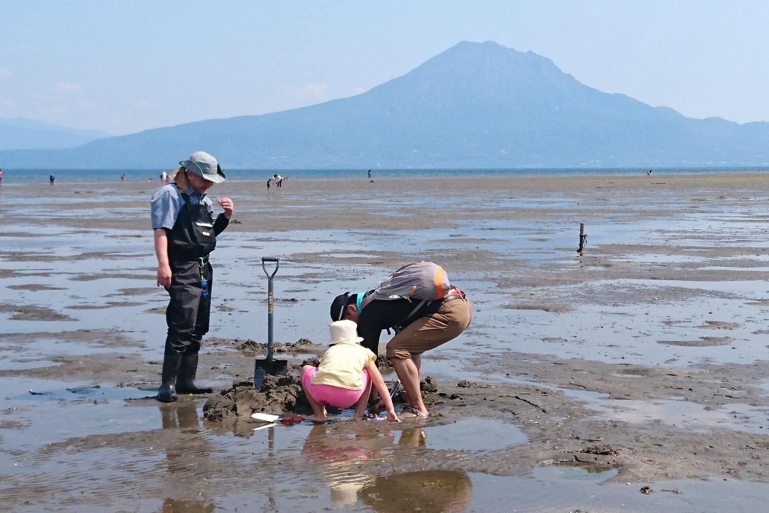 生き物観察ツアー-1