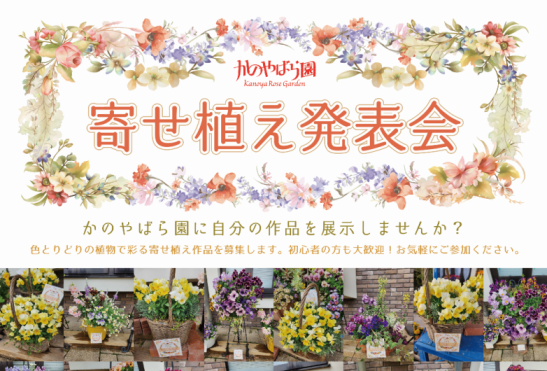 かのやばら園　寄せ植え発表会-0