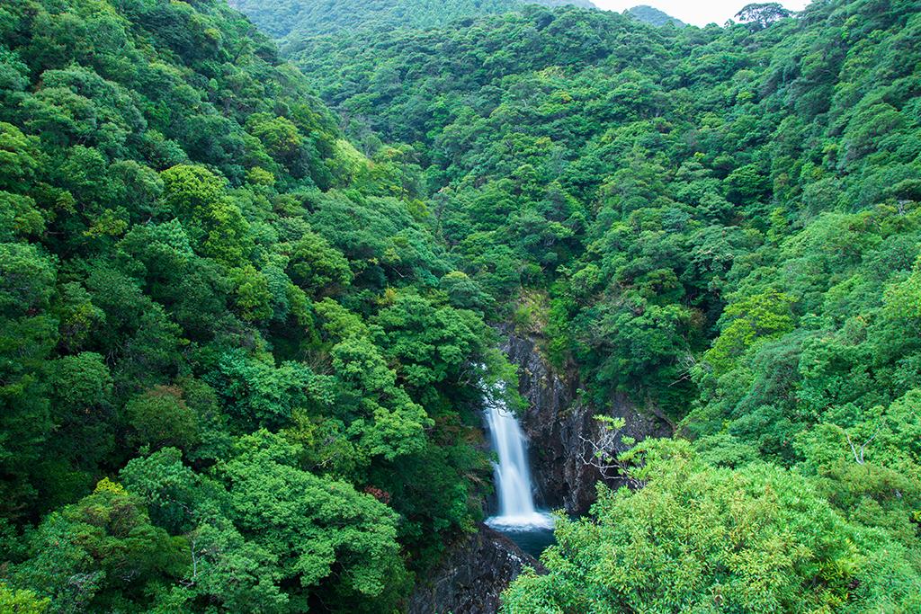 竜神の滝-0