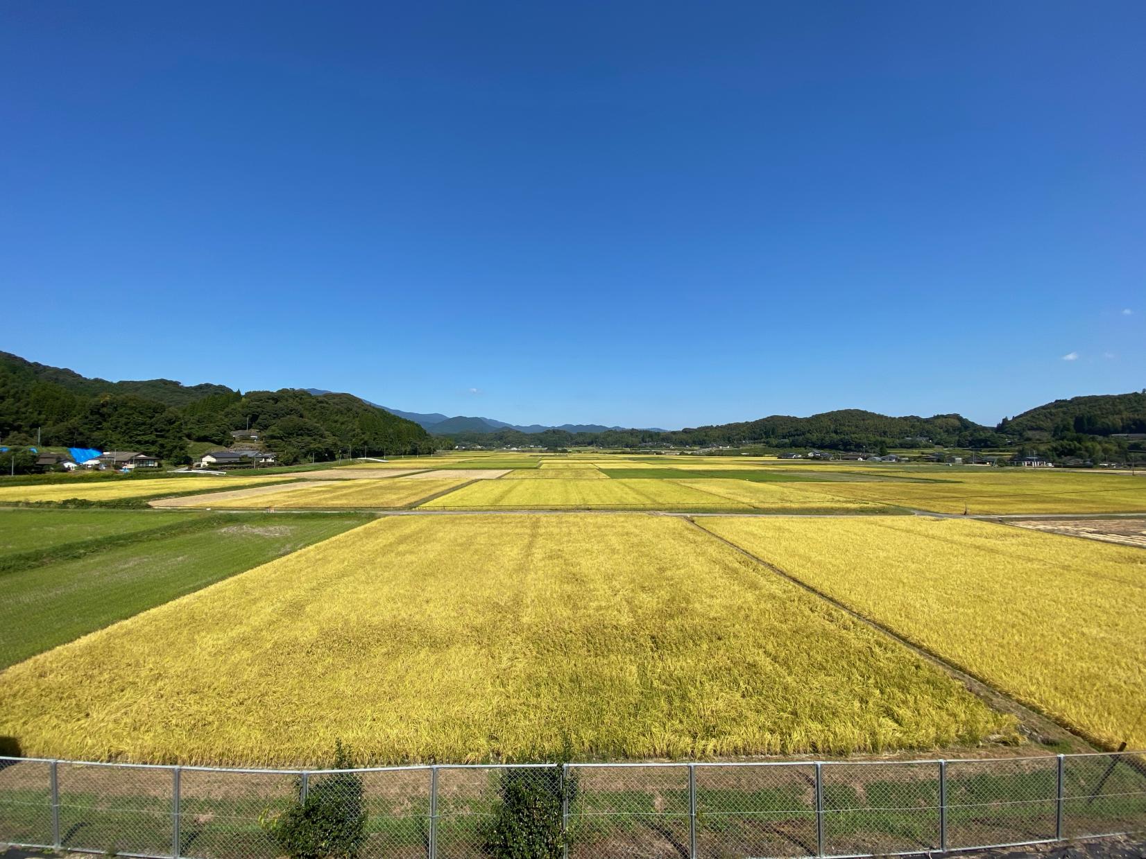 うましき里きららの楽校-3