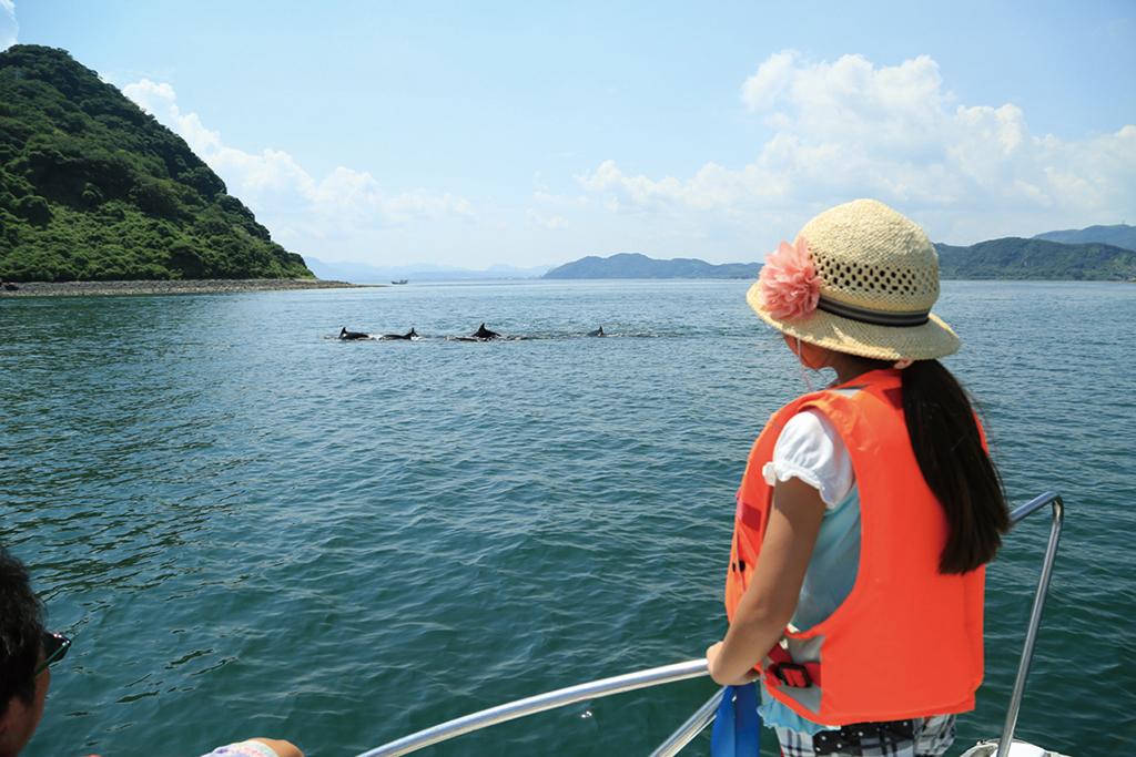 鹿児島錦江湾クルーズ（A：ジオクルーズ桜島東回り）-1