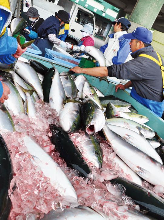 長島大陸市場食堂-2