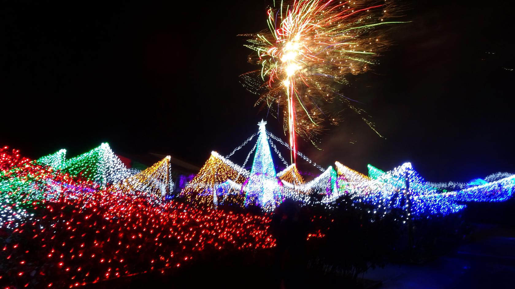【2026】クリスマスファンタジーナイト2026inかのやばら園-1