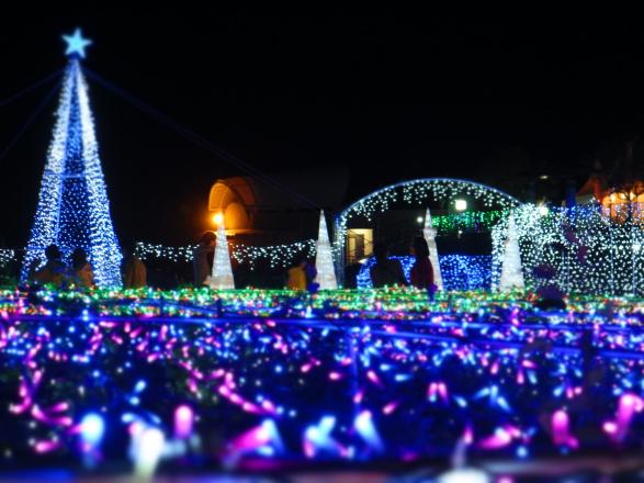 【2026】クリスマスファンタジーナイト2026inかのやばら園-0