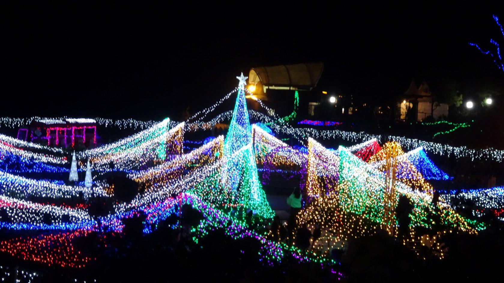 【2026】クリスマスファンタジーナイト2026inかのやばら園-2