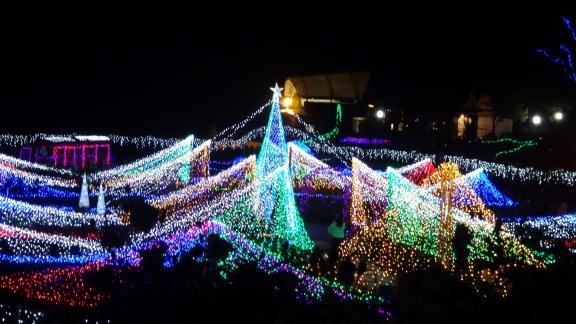 【2026】クリスマスファンタジーナイト2026inかのやばら園-2