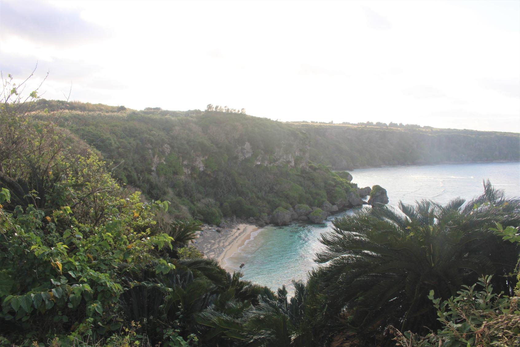 Sea Turtle Viewing Spot-2