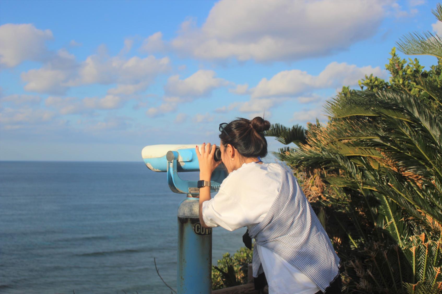 Sea Turtle Viewing Spot-1