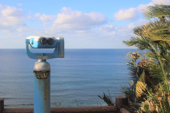 Sea Turtle Viewing Spot-3