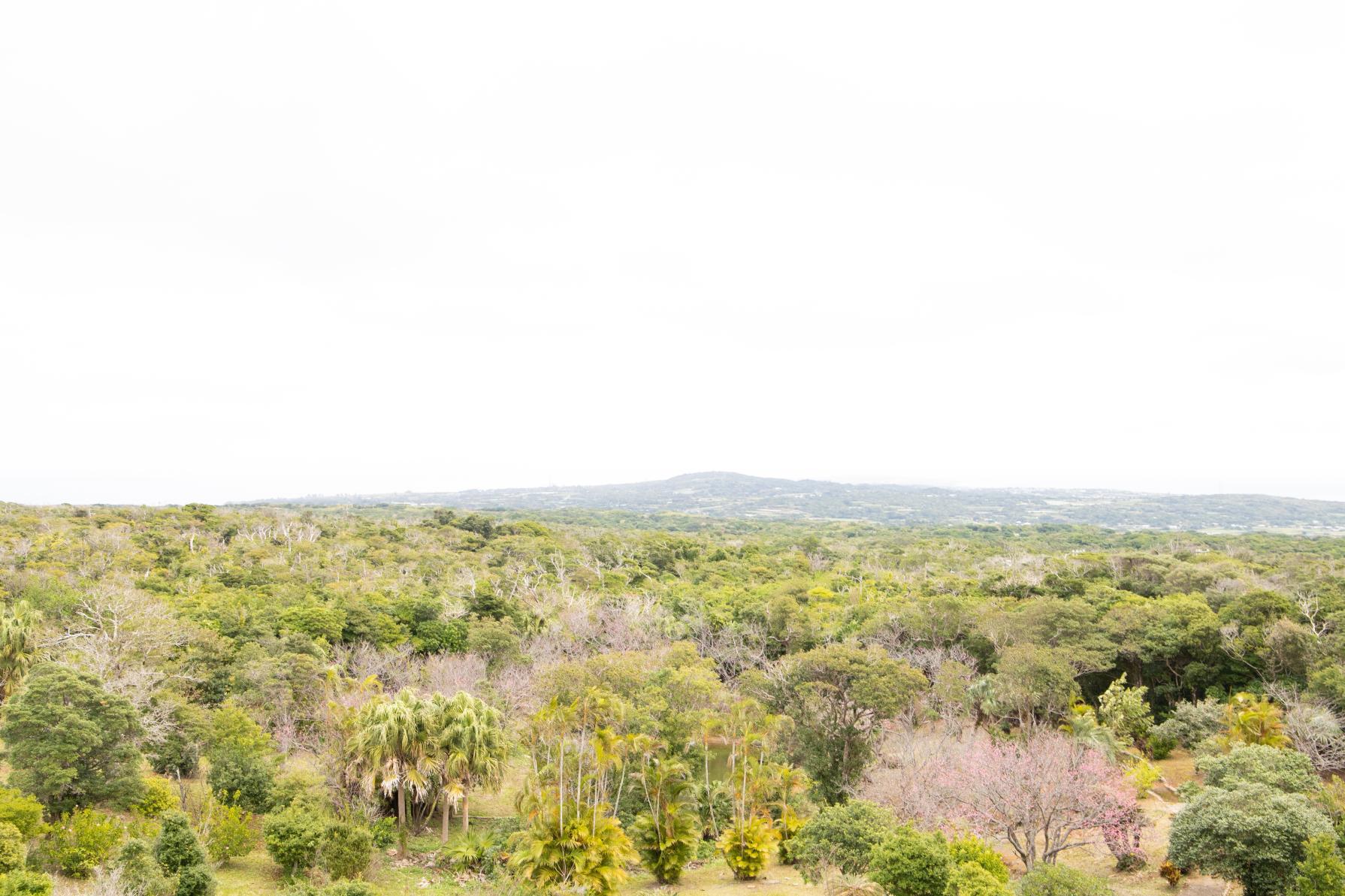 Oyama Botanical Park & Observatory-1