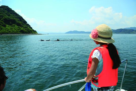 錦江湾クルーズ　プライベートクルーズ（マリンポートかごしま発着）-0