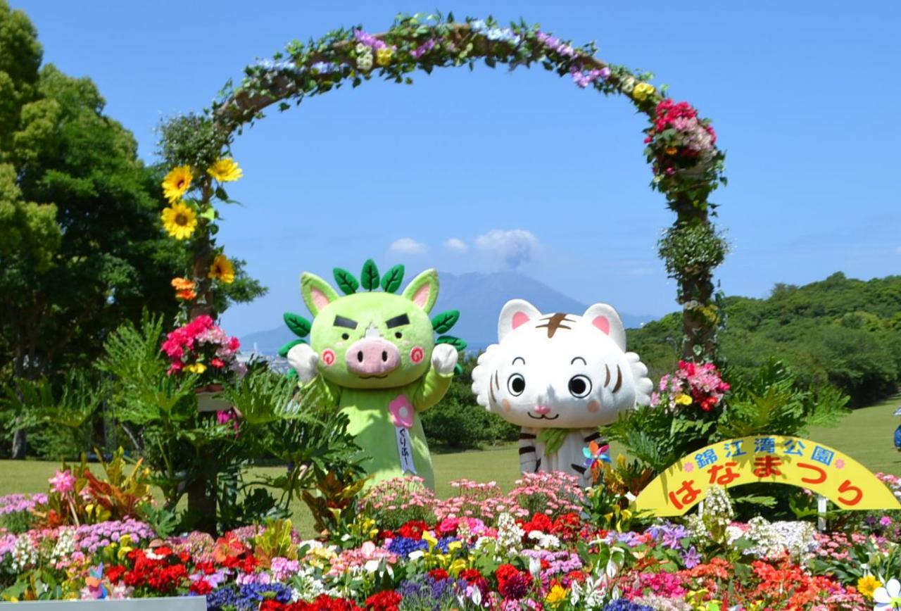 錦江湾公園はなまつり-1