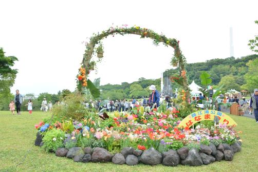 錦江湾公園はなまつり-4