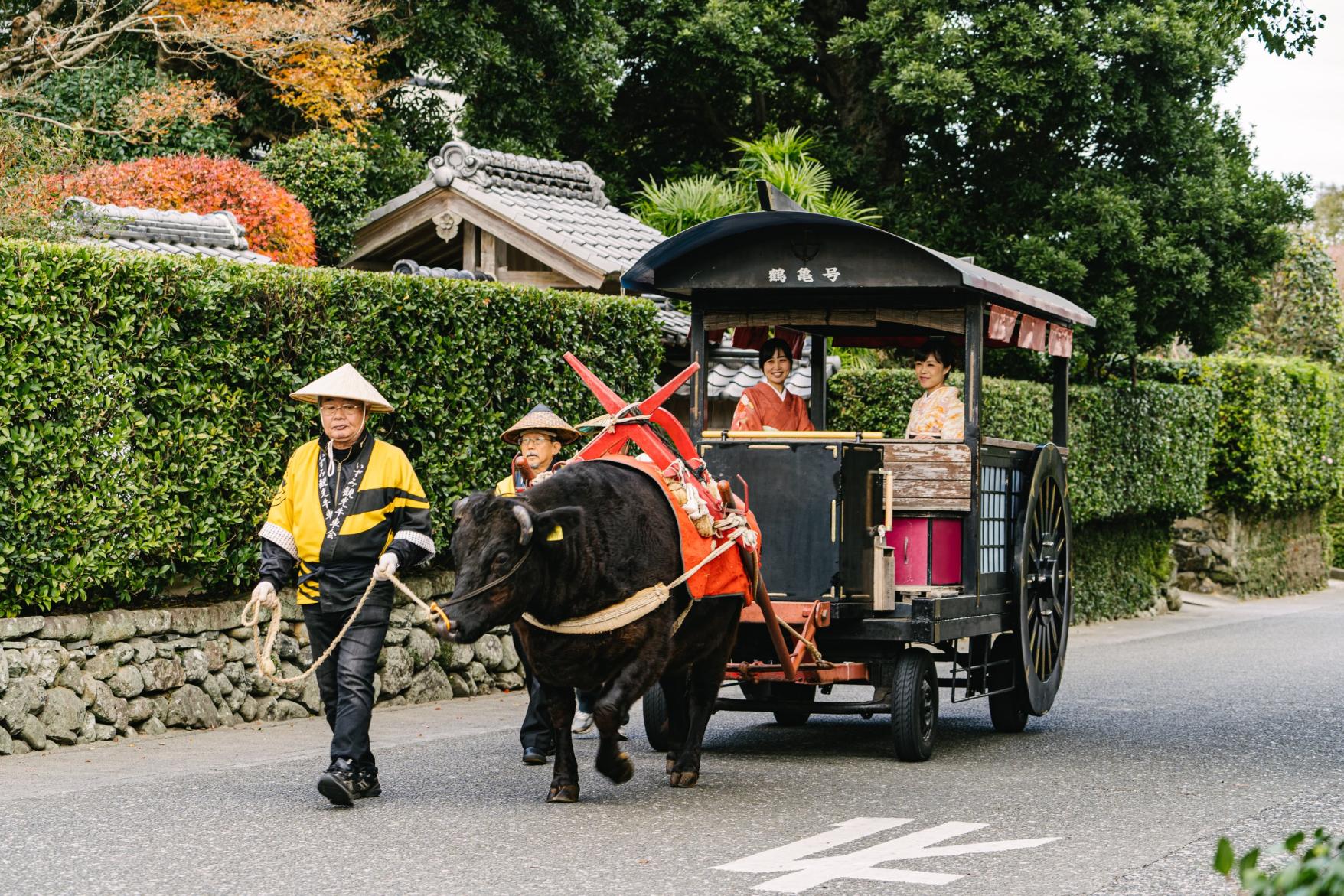 出水麓体験の日～着物・浴衣・甲冑・牛車体験の日～-2