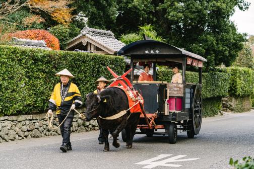 出水麓体験の日～着物・浴衣・甲冑・牛車体験の日～-2